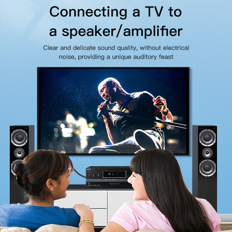 Cabo RCA Choseal, Cabo de Áudi - Home Cinema Furniture avaliação e preço